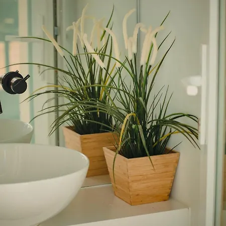 A House In - Adults Only